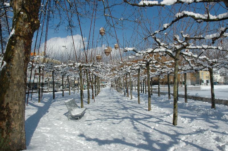 20060305-WinterBoeblingenSee-006 