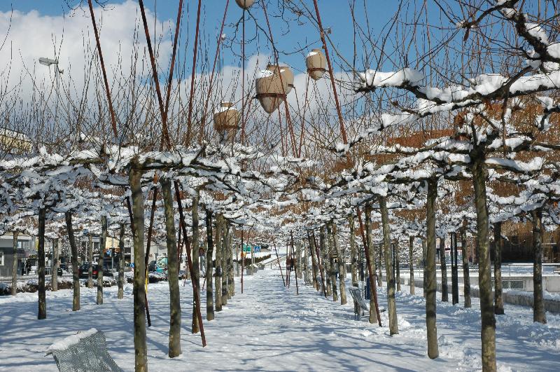 20060305-WinterBoeblingenSee-007 