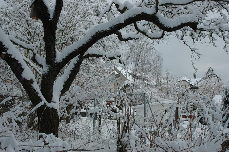 20060305-WinterReussensteinstrasse-001 