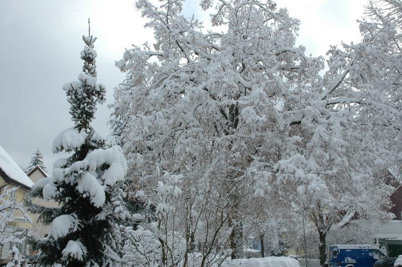 20060305-WinterReussensteinstrasse-002 