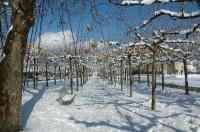 20060305-WinterBoeblingenSee-006 