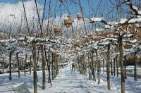 20060305-WinterBoeblingenSee-007 