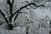 20060305-WinterReussensteinstrasse-001 