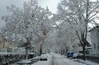 20060305-WinterReussensteinstrasse-003 